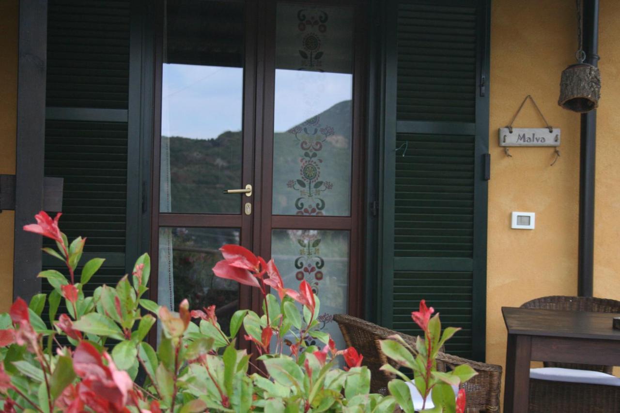 B&B Aloe Ranch Elba Rio dellʼElba Eksteriør bilde